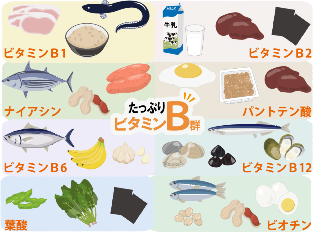 ビタミンBが豊富な食材