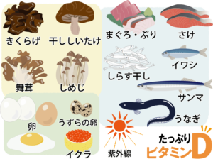 ビタミンDが豊富な食材